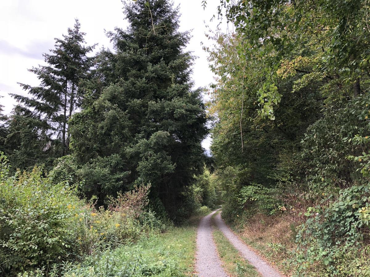 Ferienwohnung Weins Treis-Karden Esterno foto